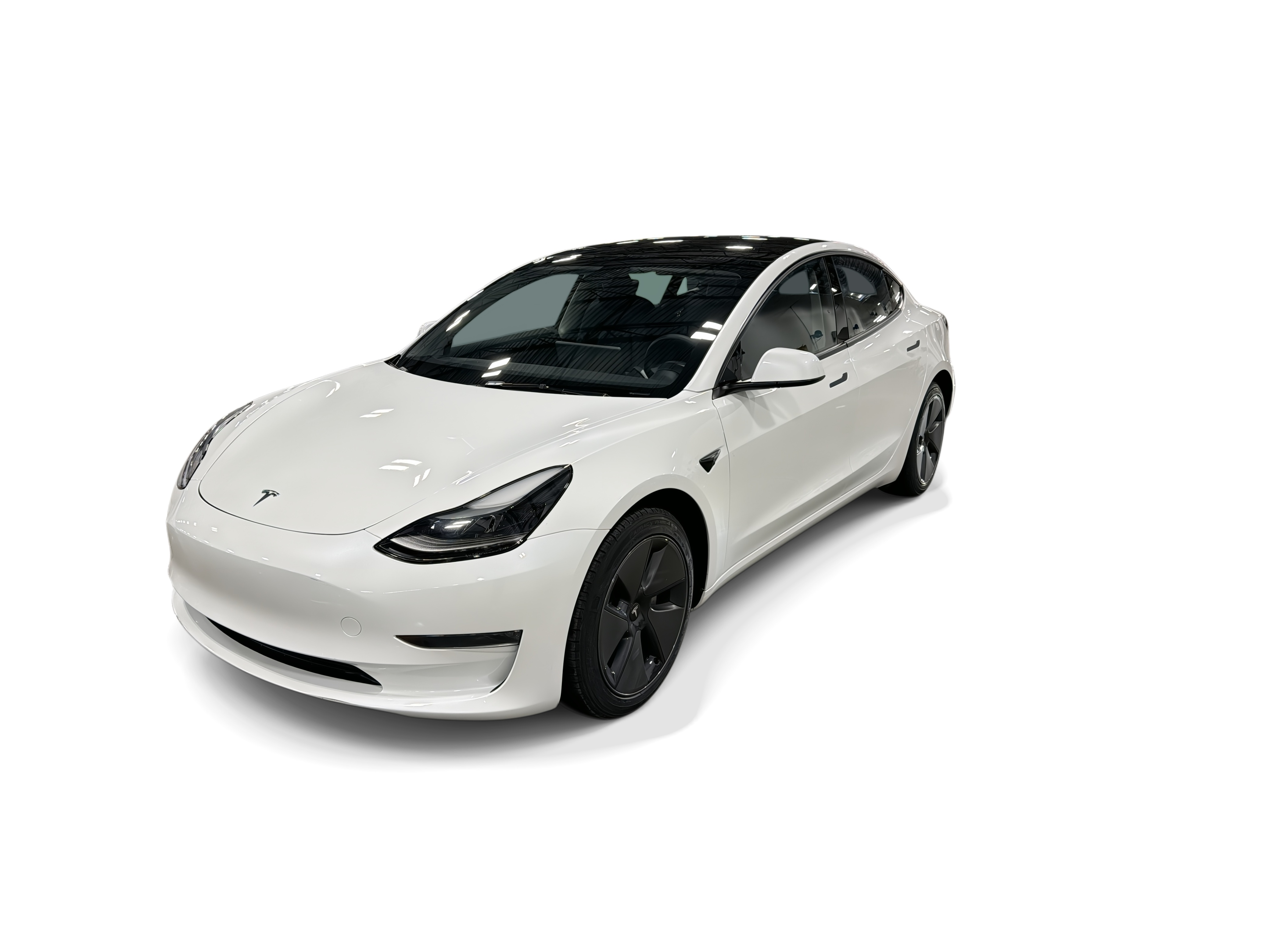 tesla model 3 2023 5YJ3E1EA9PF598820 image tesla model 3 2023 5YJ3E1EA9PF598820 image